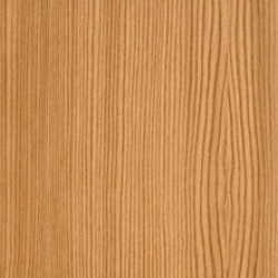 3069 041-167 Bergkiefer